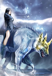 豪婿